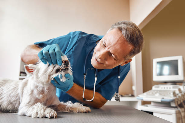 Best 24-Hour Emergency Dentist in Kendall, FL